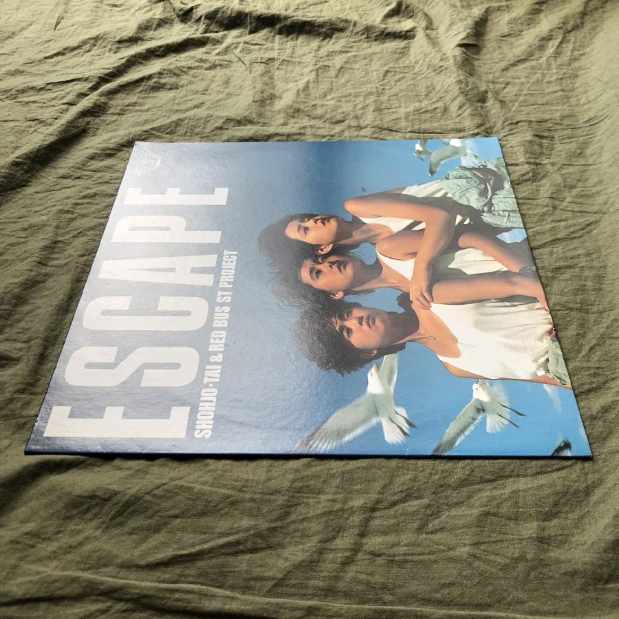 TAKEHARAPISTOL YOUTH レコード YOUTH OF ROOTS / Strawberry Girl 7インチ - メルカリ