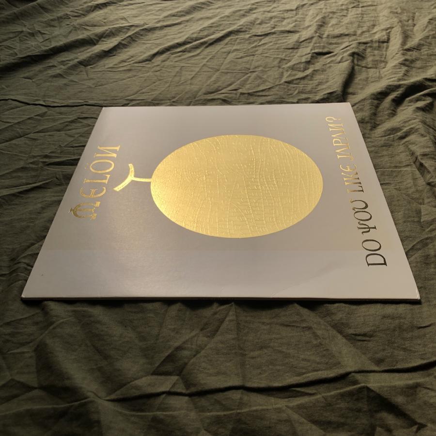 傷なし美盤 レア盤 1982年 メロン Melon LPレコード Do You Like Japan