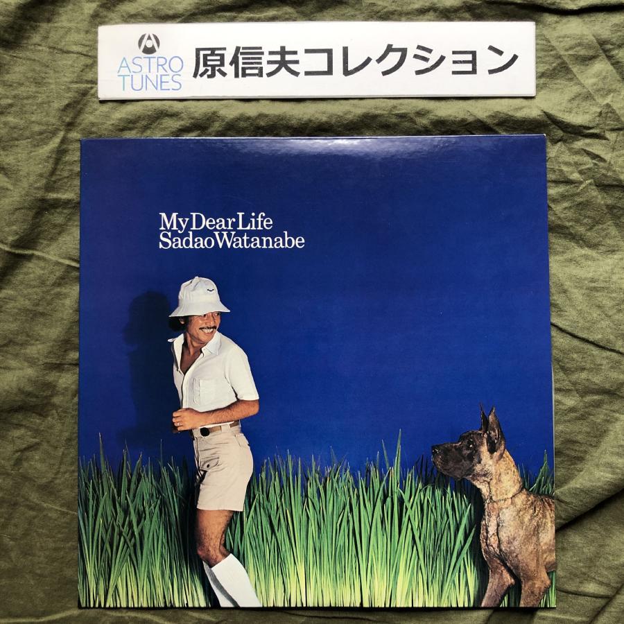 原信夫Collection 美盤 美ジャケ レア プロモ盤 1977年 渡辺貞夫 LPレコード My Dear Life: Harvey ...