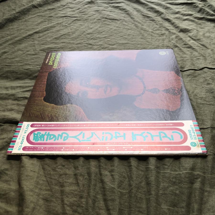 傷なし美盤 レア盤 1976年 国内盤 ジャニス・イアン Janis Ian LP