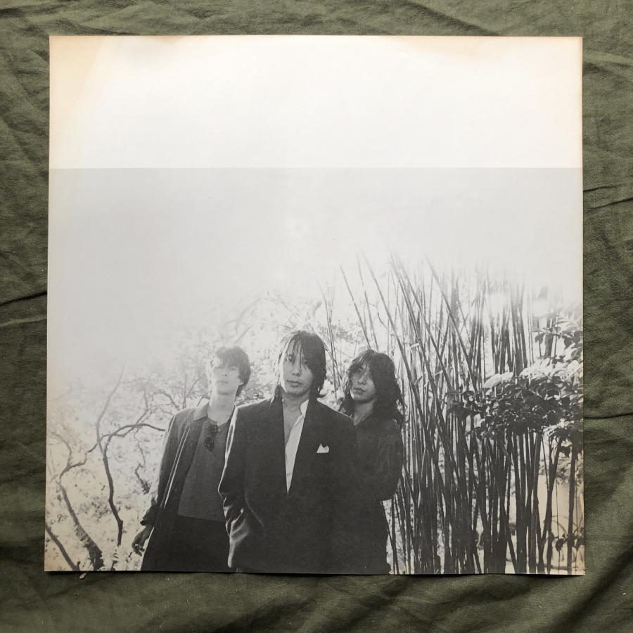 傷なし美盤 良ジャケ レア盤 1986年 リザード LIZARD LPレコード Mini