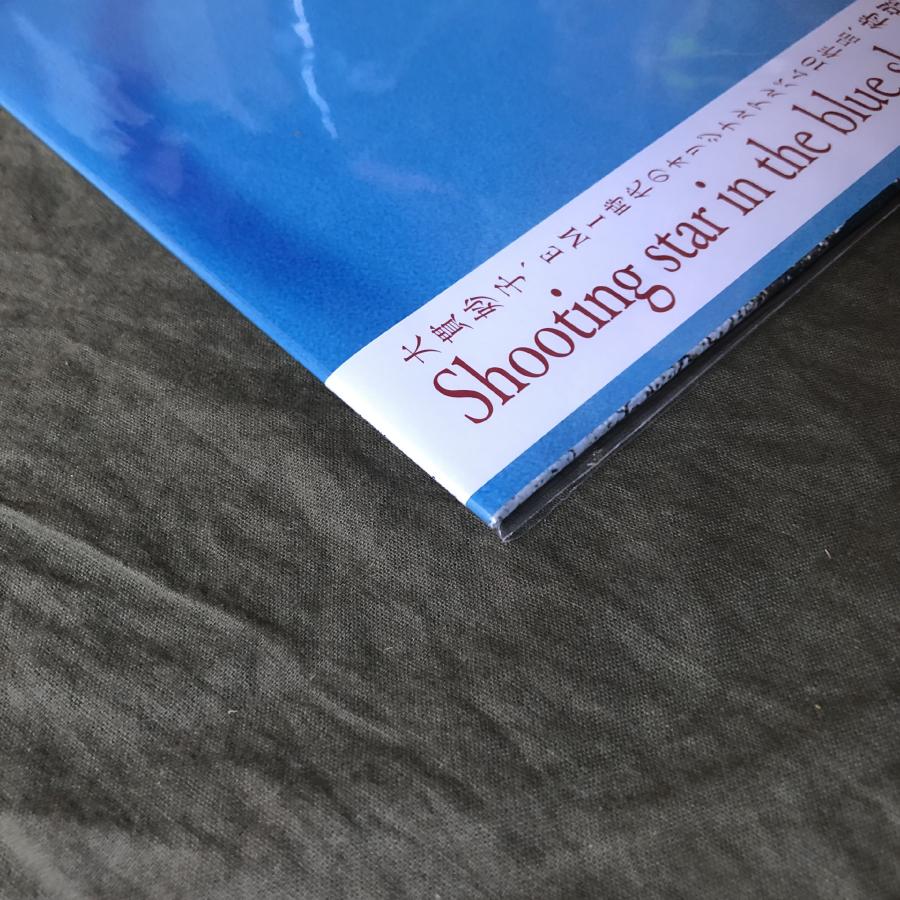 未開封新品 2020年 国内盤 大貫妙子 LPレコード Shooting Star In The
