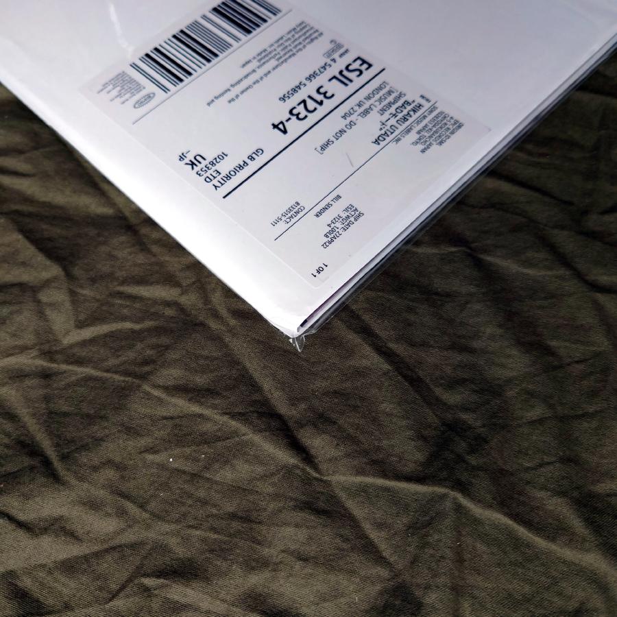 未開封新品 レア盤 180g重量盤 2022年 オリジナルリリース盤 宇多田