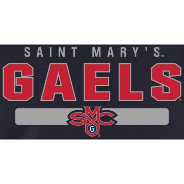 ファナティクス パーカー・スウェットシャツ アウター メンズ Saint Mary's Gaels Team Strong Pullover Hoodie Navy｜asty-shop2｜02