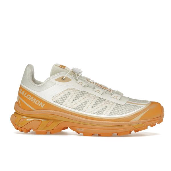 Salomon サロモン メンズ - スニーカー Salomon XT-6 FT Vanilla Ice Hazelnut 【US_9(27.0cm) 】の画像
