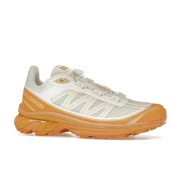 Salomon サロモン メンズ - スニーカー Salomon XT-6 FT Vanilla Ice Hazelnut 【US_9(27.0cm) 】の画像