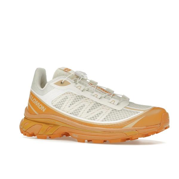 Salomon サロモン メンズ - スニーカー Salomon XT-6 FT Vanilla Ice Hazelnut 【US_9(27.0cm) 】の画像