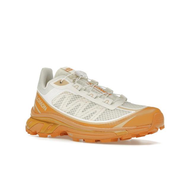 Salomon サロモン メンズ - スニーカー Salomon XT-6 FT Vanilla Ice Hazelnut 【US_9(27.0cm) 】の画像