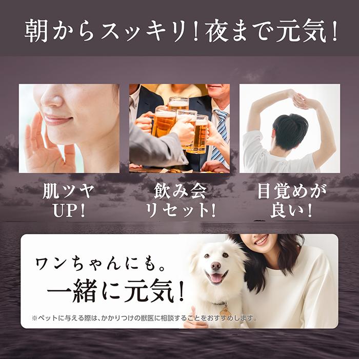 シジミ エキス パウダー 50g 約25日分 健康市場 原料そのまま 健康食品
