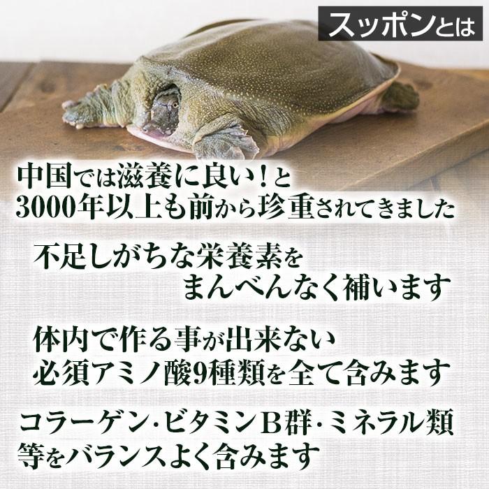 スッポン粉末 (50g) 天然ピュア原料 そのまま健康食品 スッポン 