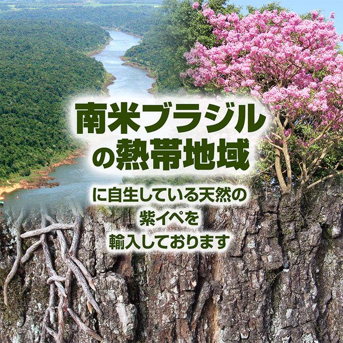 紫イペ粉末(100g)天然ピュア原料そのまま健康食品/紫イペ,紫いぺ 