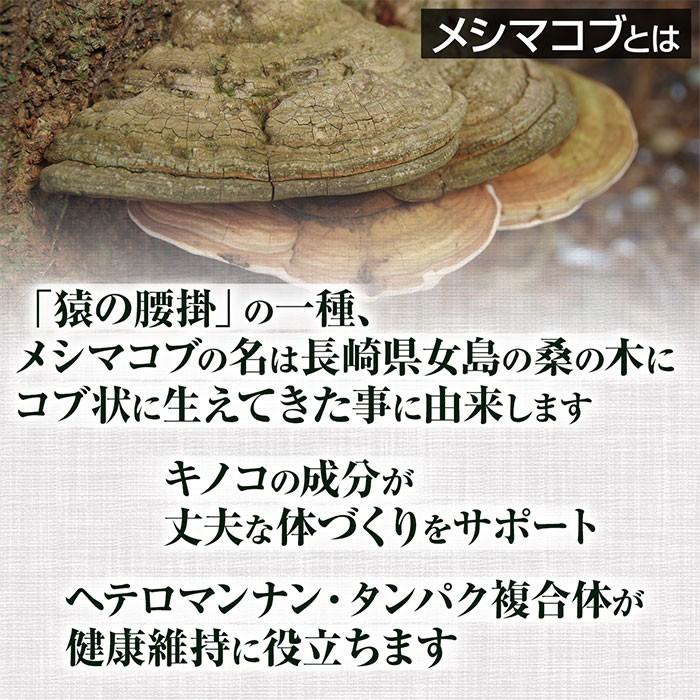 メシマコブ粉末(50g)天然ピュア原料そのまま健康食品/サルノコシカケ