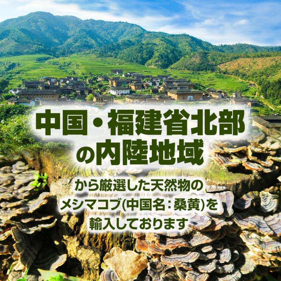 メシマコブ　粉末 一袋　50グラム× 10袋 メシマコブ 粉末 一袋 50グラム× 10袋 【公式通販】