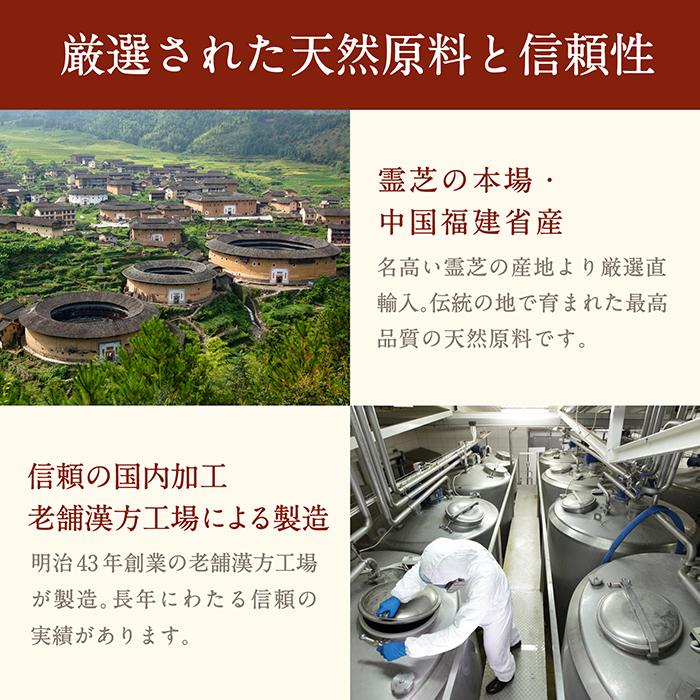 霊芝粉末 50g 天然ピュア原料 無添加 健康食品 れいし レイシ 漢方 霊