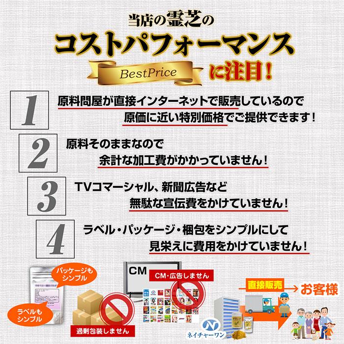 霊芝粉末 50g 天然ピュア原料 無添加 健康食品 れいし レイシ 漢方 霊