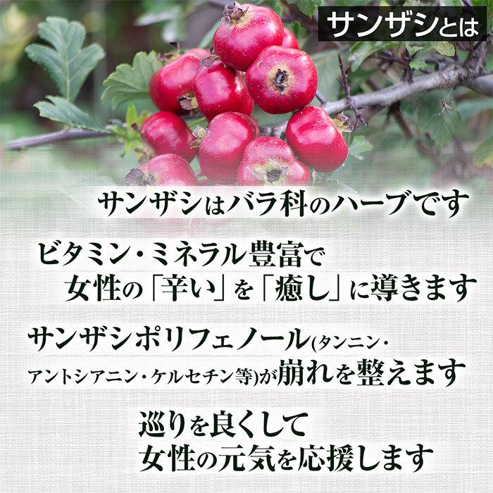 サンザシ粉末(100g)天然ピュア原料そのまま健康食品/山査子,サンザシ