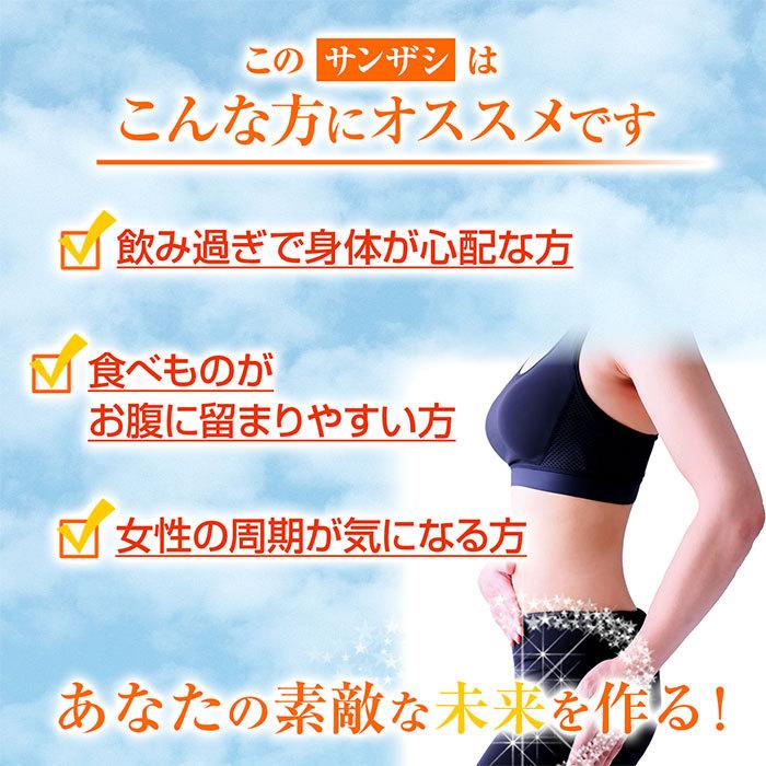 訳あり品送料無料 サンザシ粉末 100g 天然ピュア原料そのまま健康食品 山査子 サンザシ さんざし Aynaelda Com