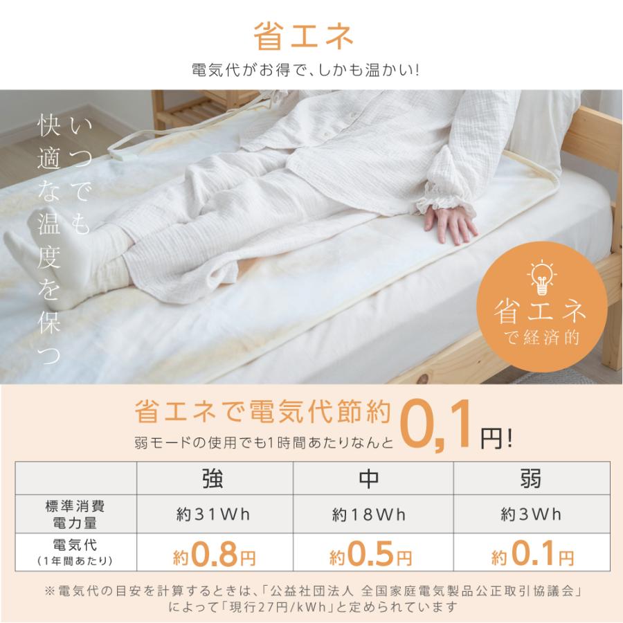 日本製 電気毛布 180×85 ウォッシャブル 頭寒足熱配線 ダニ退治機能付