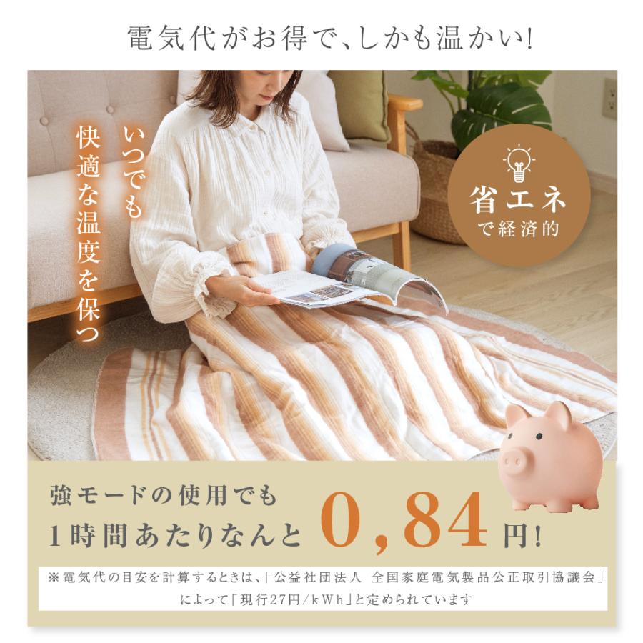 洗える電気敷毛布 約140×80cm 室温センサー付 ダニ退治 頭寒足熱配線で