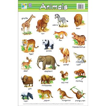 子ども用英語ポスター Animals Wall Charts どうぶつポスター Edu034 Asukabc Online 通販 Yahoo ショッピング