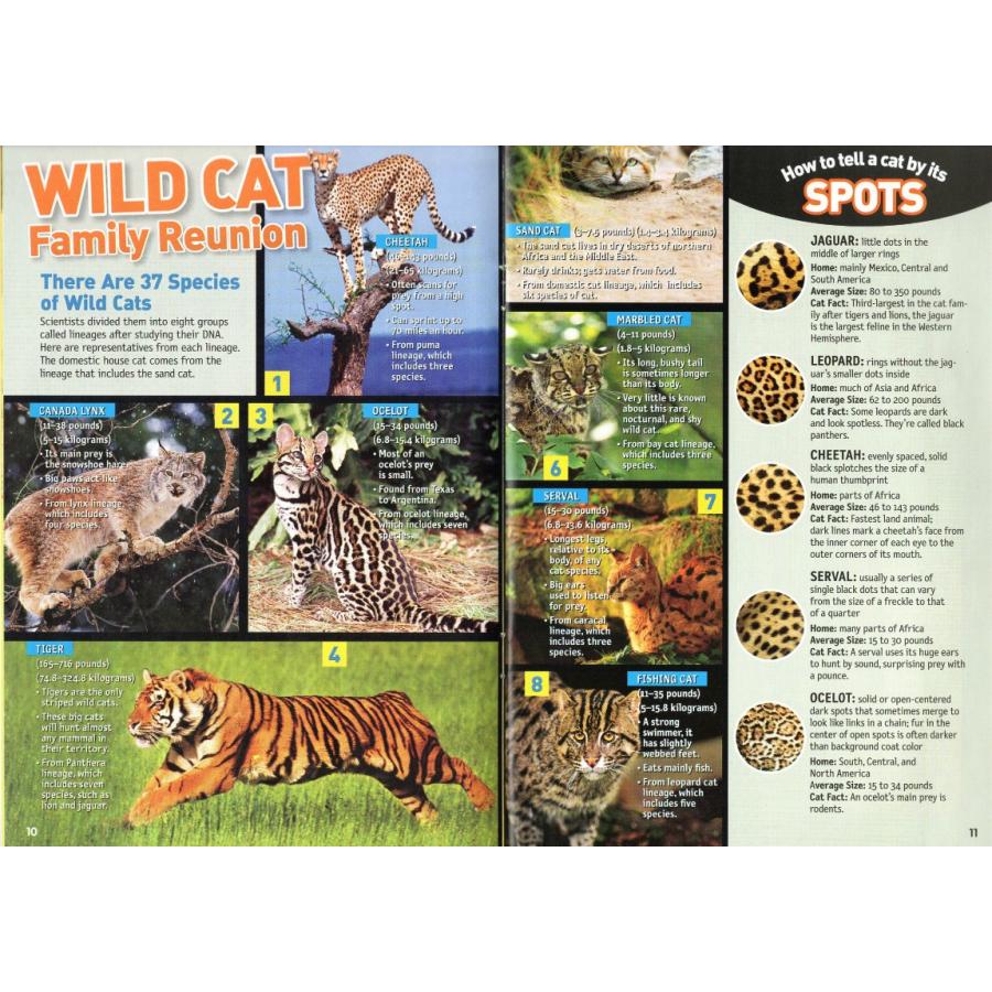 動物名鑑/ANIMALS ALMANAC/NATIONAL GEOGRAPHIC KIDS/洋書絵本/英語の本｜asukabc-online｜02