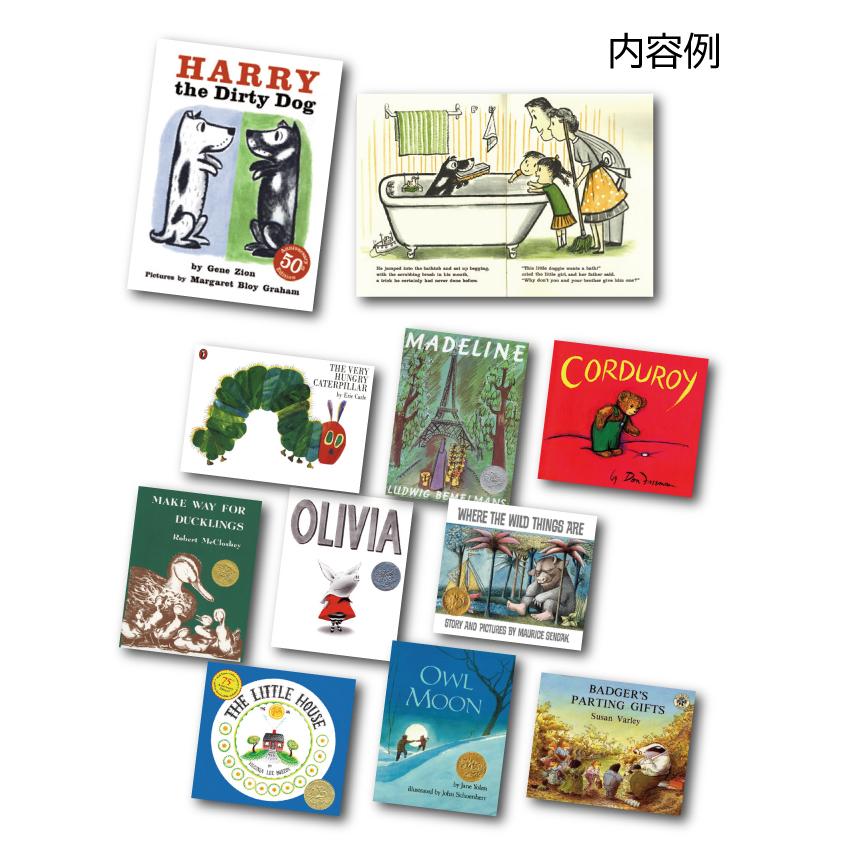 英語絵本 洋書◇The Famous Five 10冊セット 英語絵本 洋書◇The Famous Five 10冊セット 英語絵本 洋書◇The