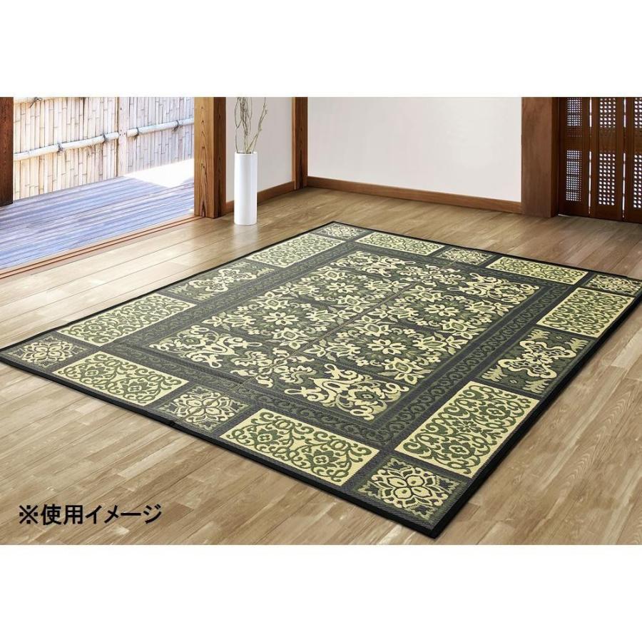 注目ブランド 緑茶染め い草アクセントラグ ガイア 約191 250cm ネイビー Tsn 公式限定新作 送料無料 Www Skylanceronline Com