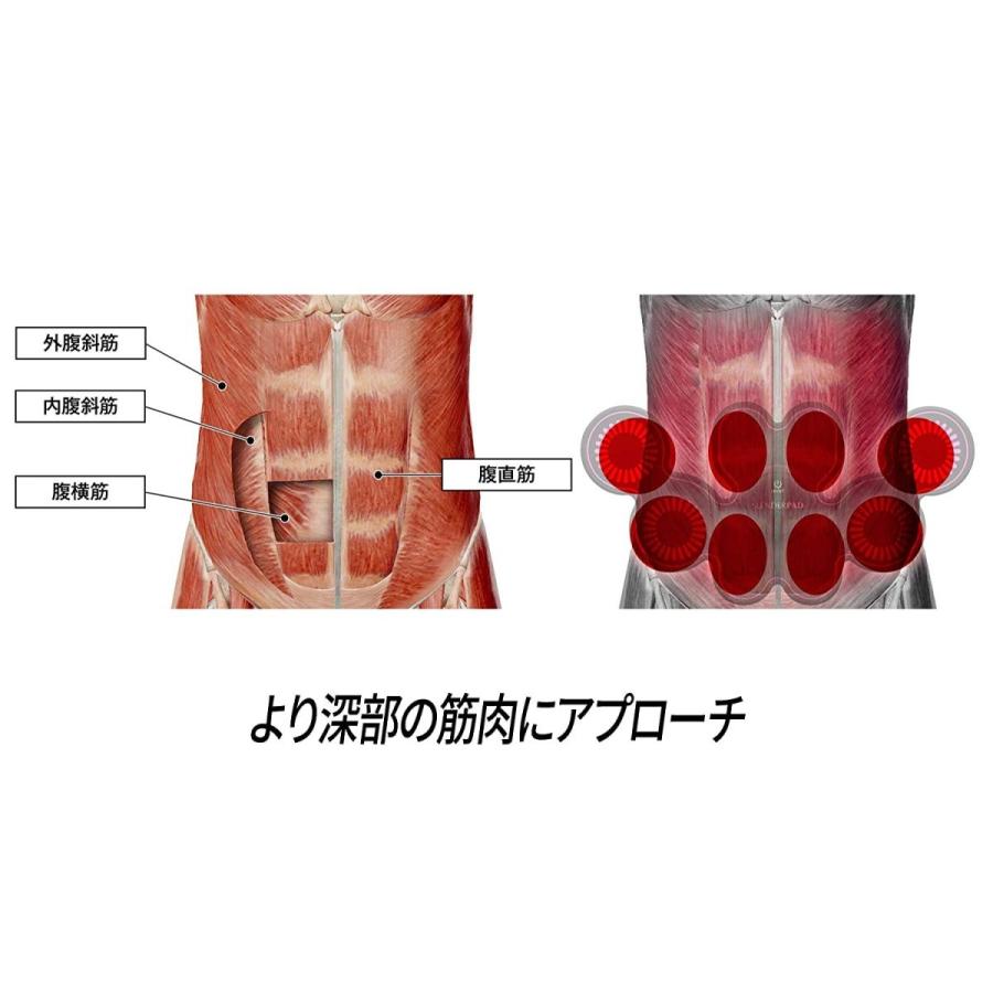 保存版 Tbc エステティックtbc スレンダーパッド2 Pro 本体 ボディ ヒップ用 セット 男女兼用 人気no 1 本体 Cih Dev Humbird Com