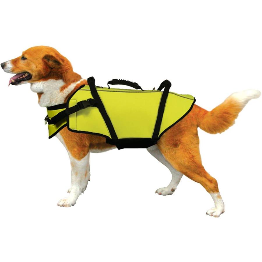 海外正規品 フュージョン Fusion 犬用浮き輪 限定製作 Technet 21 Org