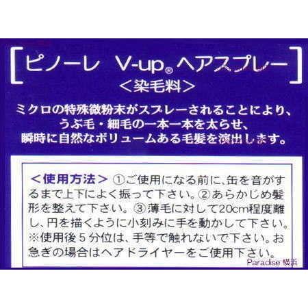 値引きする ピノーレ V Up ボリューム アップ ヘアスプレー ブラック 0g 6本パック 限定価格セール Zoetalentsolutions Com