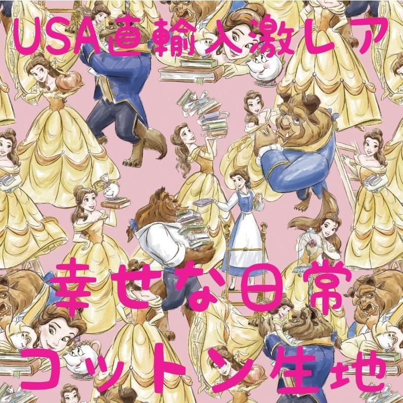 ディズニー 美女と野獣 幸せな日常 布 ハギレ80cm 入園 入学 : afh-005  