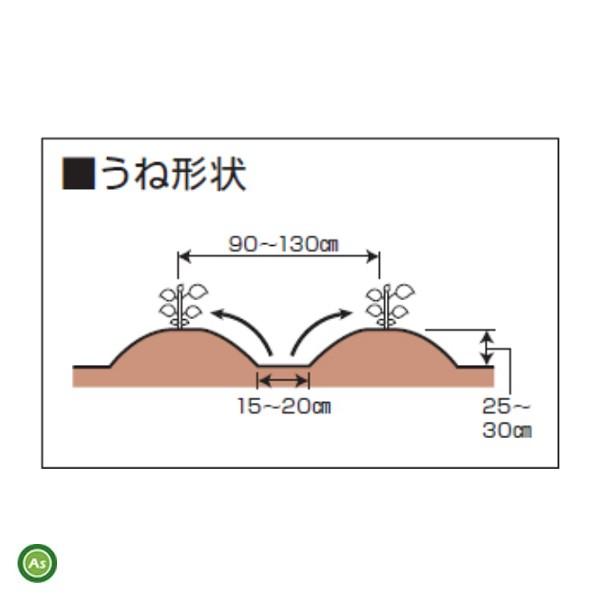 Kubota（クボタ） 黒大豆土寄せセットDX TRS600,TRS700,TR6000,TR7000
