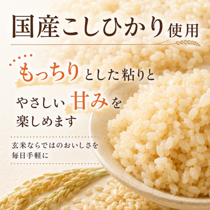 おくさま印 幸南食糧 こだわりの玄米ごはん 120g 12個 セット ごはん