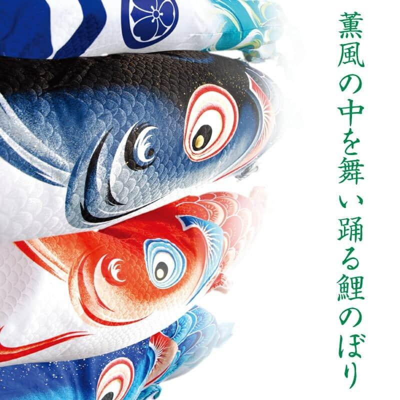 徳永こいのぼり　薫風の舞い鯉　風舞い　2mセット 徳永鯉 こいのぼり 鯉のぼり 単品 2m 風舞い 薫風の舞い鯉 撥水加工