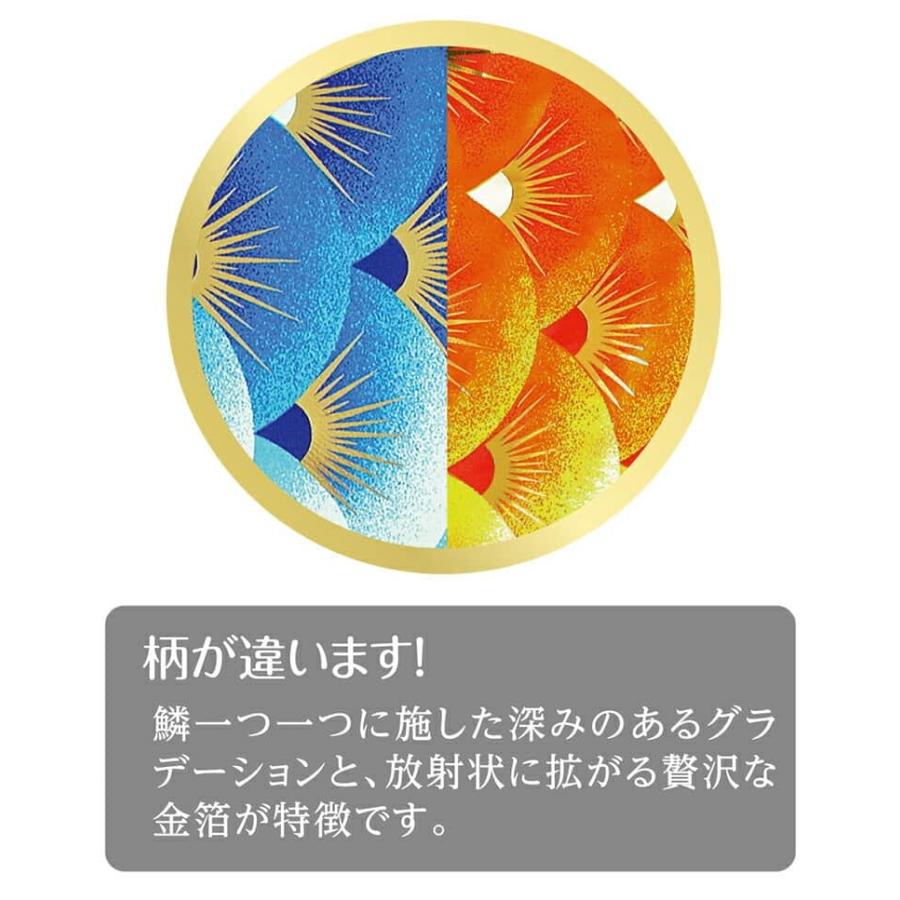 こいのぼり 村上鯉 鯉のぼり 庭園用 5m 7点セット 金彩ロマン 翔龍吹流し 撥水 家紋・名入れ可 mk-104-783_3