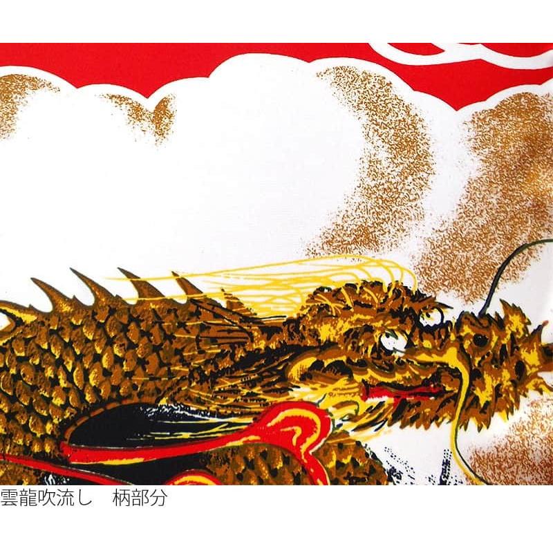 こいのぼり3匹・雲竜吹き流し1本 庭園用 4m 東旭「積美画