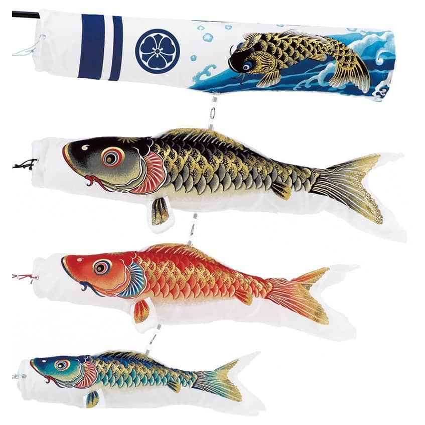 こいのぼり ワタナベ 鯉のぼり 室内用 60cmセット プチ座敷鯉物語 天華