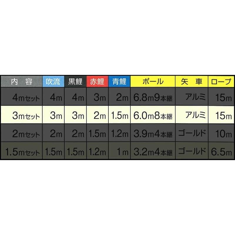 こいのぼり キング印 鯉のぼり 庭園用 3m 庭園セット 翔輝 ナイロン 杭打込フルセット 家紋・名前入れ可能 ym-9212030_4