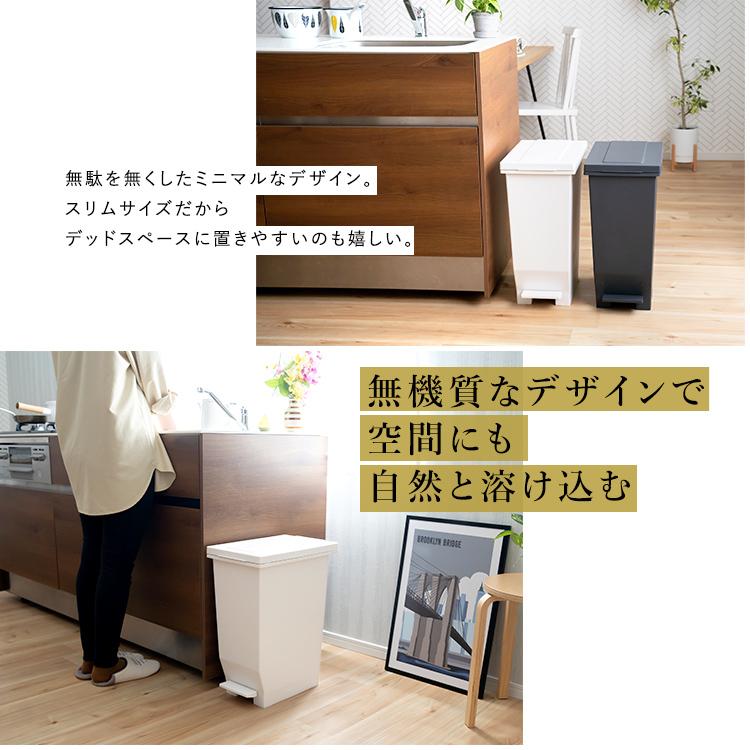 ゴミ箱 おしゃれ キッチン 分別 密閉 ペダル スリム 30リットル 2個 セット アスベル ダストボックス 防臭 分別 30L 蓋付き 大容量 ごみ箱 | アスベル | 13