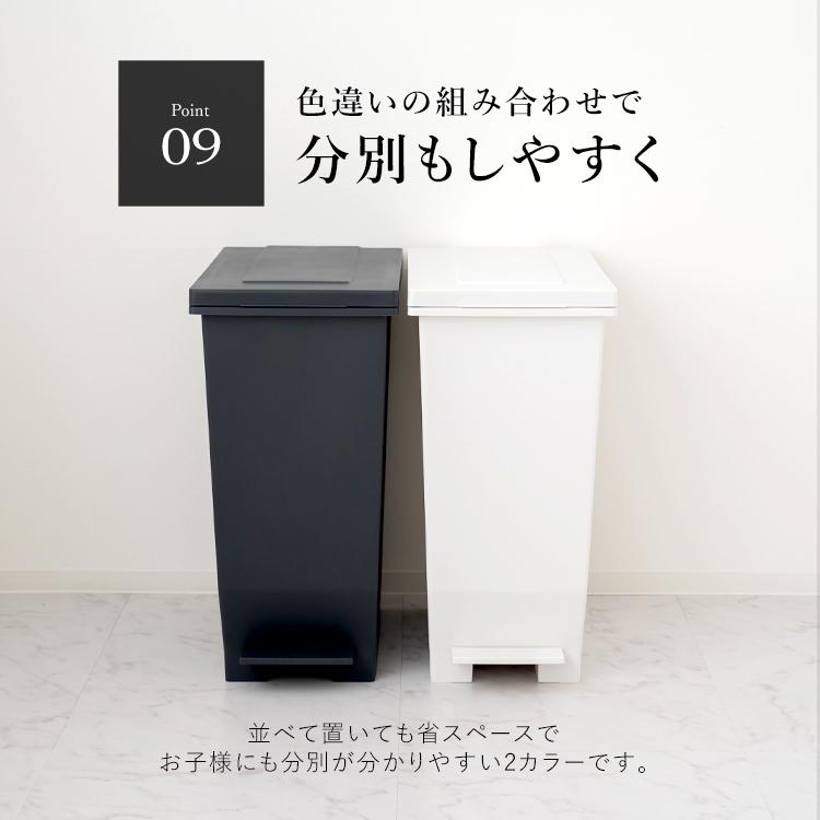 アスベル ゴミ箱 おしゃれ キッチン 分別 密閉 ペダル スリム 45 アスベル ゴミ箱 おしゃれ キッチン 分別 密閉 ペダル スリム 45
