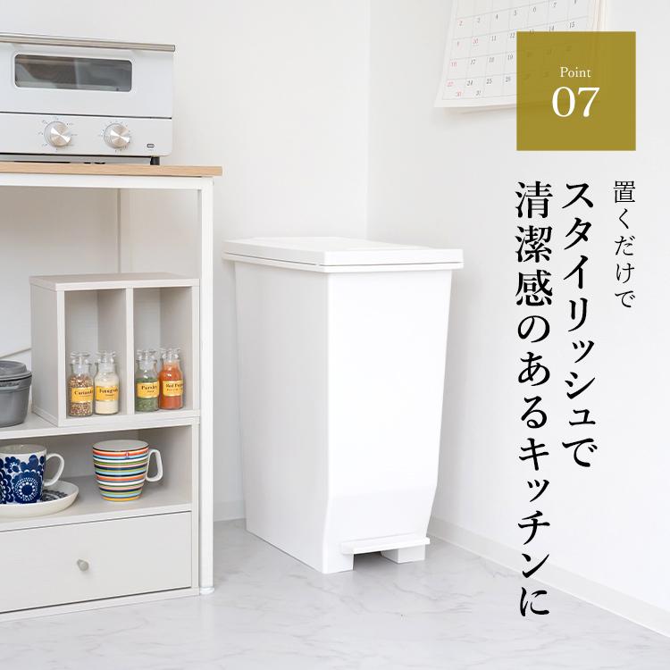 アスベル ゴミ箱 おしゃれ キッチン 分別 密閉 ペダル スリム 45 アスベル ゴミ箱 おしゃれ キッチン 分別 密閉 ペダル スリム 45