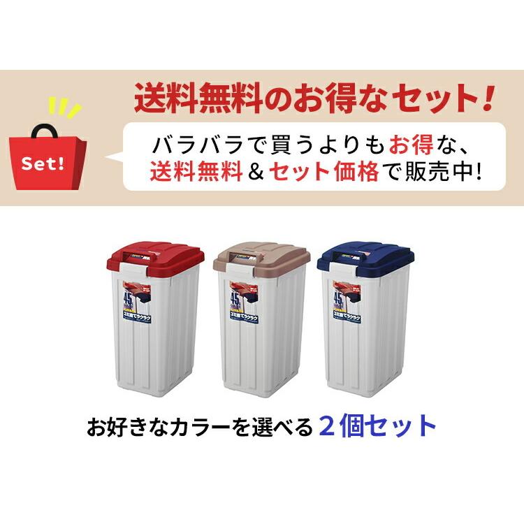 ゴミ箱 屋外 分別 ハンドルペール 45リットル ２個セット アスベル Asvel おしゃれ 大型 大容量 45l 45l 蓋付き カラス対策 ベランダ 資源ゴミ ごみ箱 アスベル Paypayモール店 通販 Paypayモール