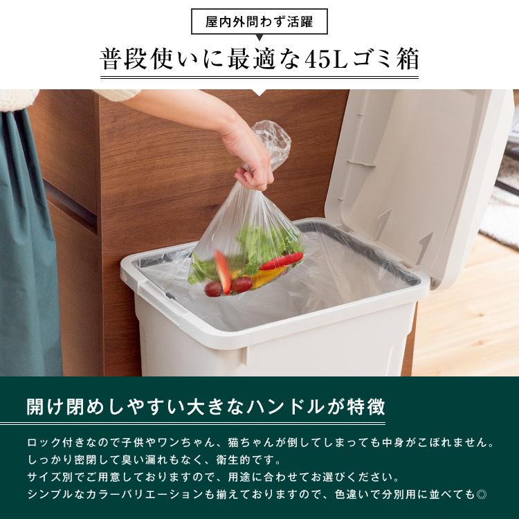 ゴミ箱 おしゃれ 屋外 分別 SP ハンドル ペール 45リットル アスベル ダストボックス 大容量 45l 45L 蓋付き カラス対策 ベランダ 資源ゴミ ごみ箱 | アスベル | 01