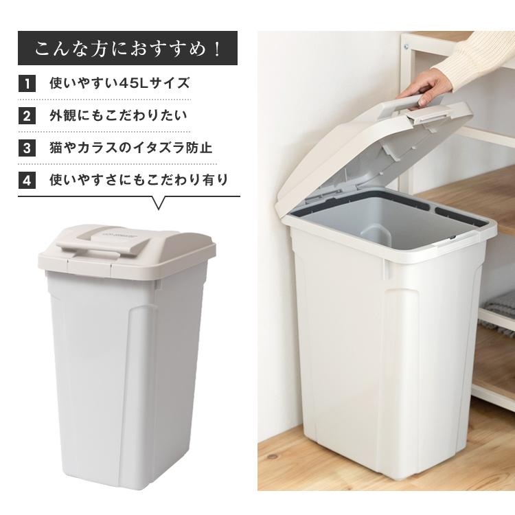 ゴミ箱 おしゃれ 屋外 分別 SP ハンドル ペール 45リットル アスベル ダストボックス 大容量 45l 45L 蓋付き カラス対策 ベランダ 資源ゴミ ごみ箱 | アスベル | 02