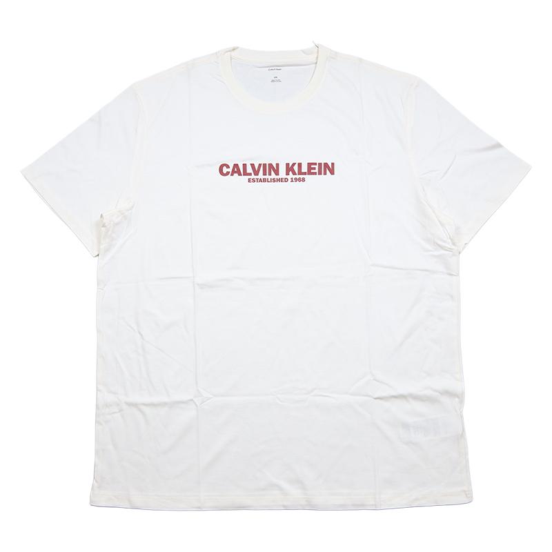 【並行輸入品】カルバンクライン Tシャツ CALVIN KLEIN  半袖Tシャツ メンズ レディース ブランド 大きいサイズ | Calvin Klein | 06