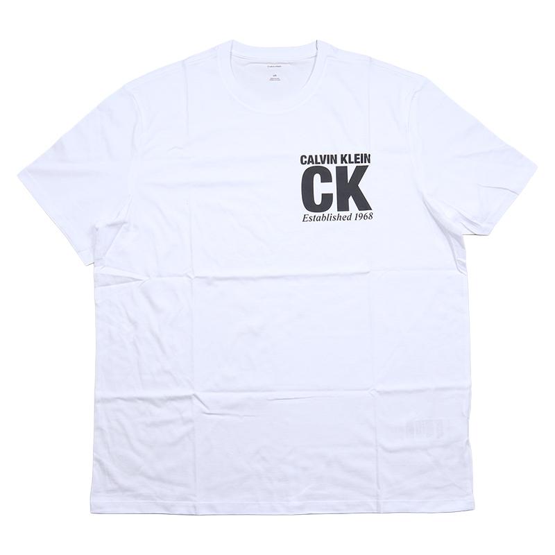 【並行輸入品】カルバンクライン Tシャツ CALVIN KLEIN 半袖Tシャツ メンズ レディース ブランド 大きいサイズ | Calvin Klein | 06