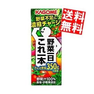 送料無料 カゴメ 野菜一日これ一本 200ml紙パック 24本入｜at-cvs