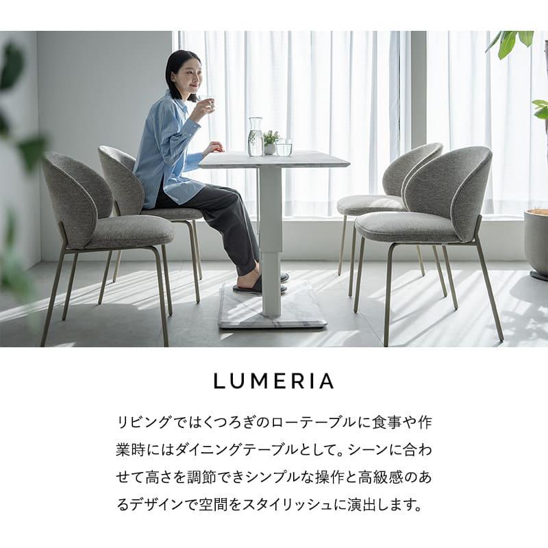 EMOOR（エムール） 昇降式 センターテーブル リフティングテーブル 幅