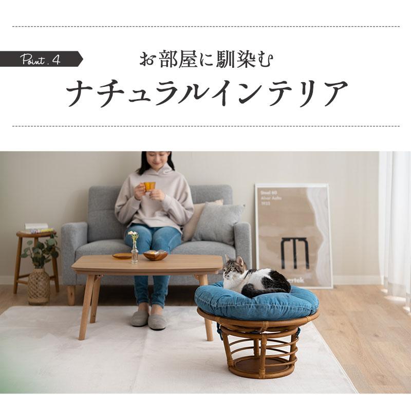 EMOOR（エムール） キャットベッド 猫用 ベッド ラタン 籐 軽量 丈夫