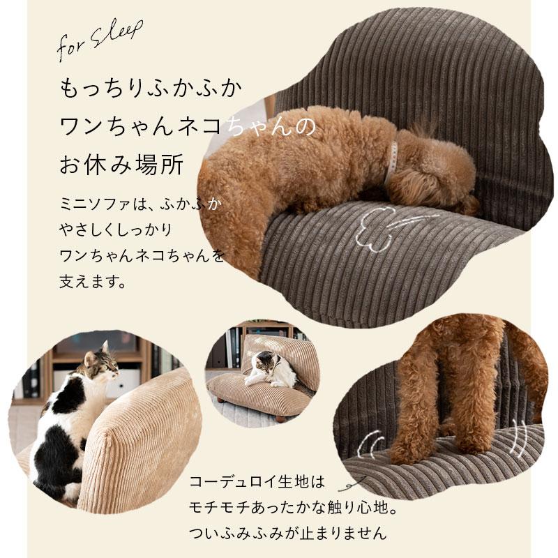 EMOOR（エムール） ミニソファベッド 猫 犬 ベッド 軽量 折りたたみ